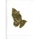 Mass Card, Living ( Soft Cover) Mass Card, Living ( Soft Cover)