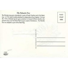 Palmetto Tree Post Cards Natural White