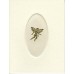 RELIGIOUS, NOTE CARD GOLD ANGEL