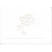Humming  Bird Note Card