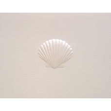 Scallop Shell, Pearl Embossed