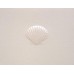 Scallop Shell, Pearl Embossed