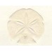 Sand Dollar, Peach Embossed