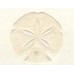 Sand Dollar, Peach Embossed