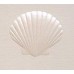 Scallop Shell, Pearl Embossed