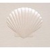Scallop Shell, Pearl Embossed