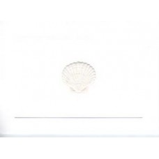 Scallop Shell Tint Embossed