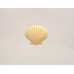 Scallop Shell Note Card Gold Embossed