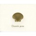 Scallop Shell Thank You Card Gold Embossed